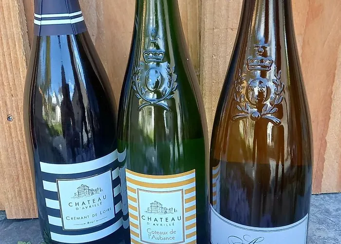 招待所 La Demoiselle